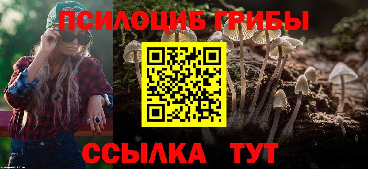 Псилоцибиновые грибы Psilocybine cubensis  Вход с VPN  Щёлково 